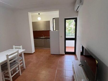  Appartamento 1+1 in Affitto vicino allo Stadio Dinamo 500 € /Mese