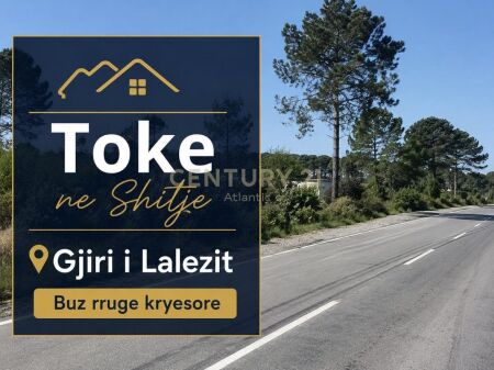 TOKË NË SHITJE – GJIRI I LALZIT BUZE RRUGES KRYESORE!