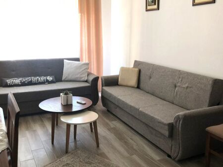  Apartment 1+1 for Rent at Aviation Field, 500 THOUSAND LEKE
