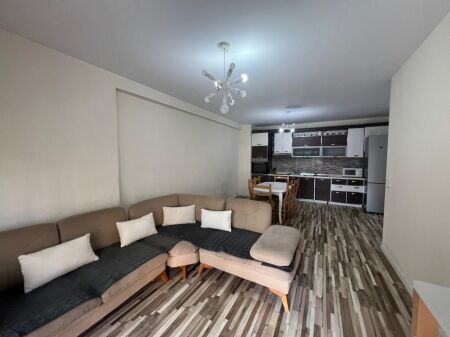 APARTAMENT 2+1 NE KOMUNE TE PARISIT
