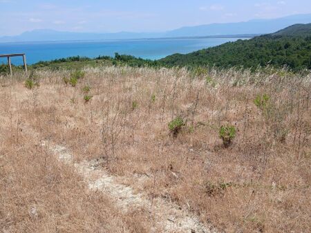 SHITET TOKE 7200 m2 NE KEPIN E RODONIT