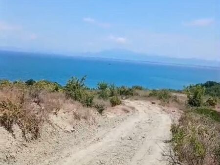 SHITET TOKE 31000 m2 NE KEPIN E RODONIT
