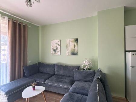 Ne Qender te Tiranes, jepet me qera apartament 1+1 i arreduar!