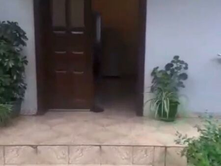 CASA IN AFFITTO - SELITE 1+1